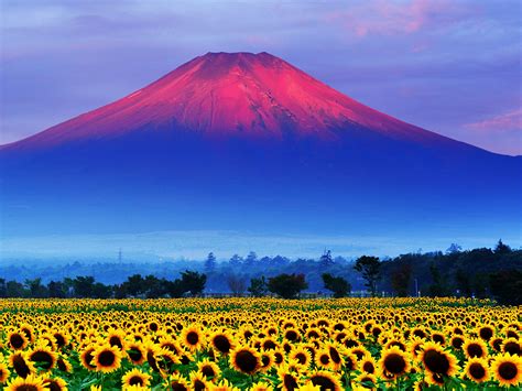 Fuji Mountain Japan 的图像结果