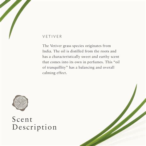 Buy RITUALS Oriental Vetiver Luxury Oil Reed Diffuser Set - Fragrance ...