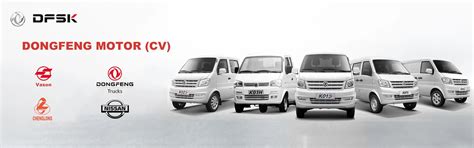 Company Overview - Wuhan Longxinchengshi Used Car Management Co., Ltd.