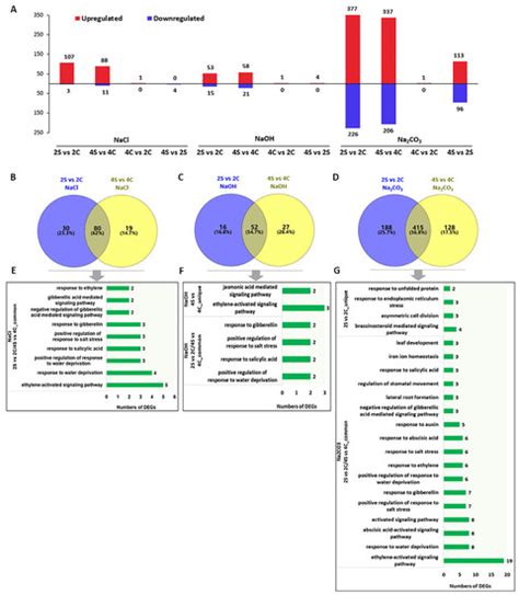 Transcriptome-Based Comparative Analysis of Transcription Factors in ...