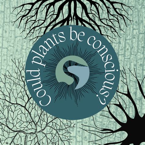 Are Plants Actually Conscious Streams Of Awareness In Your Garden