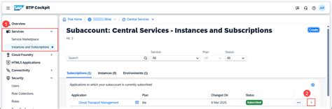 Get Started with SAP Cloud Transport Management Service | SAP Tutorials