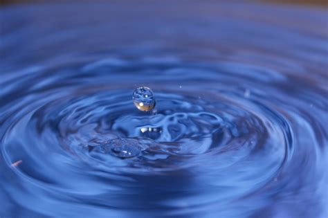 Liquid Sort Puzzle Solver Python Code 的图像结果