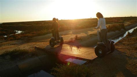 Parque Natural Ría Formosa y observación de aves - Tour en Segway ...