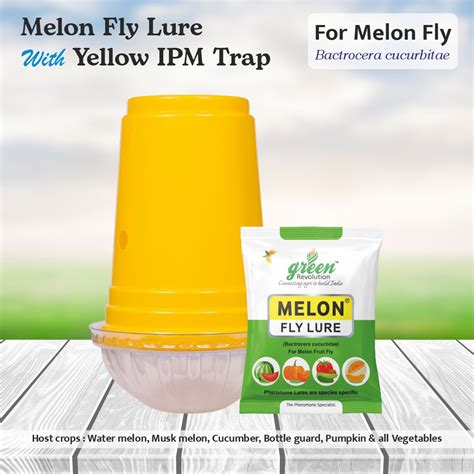 Yellow IPM Trap With Melon Fly Lure - Pack of 10 - Green Revolution ...