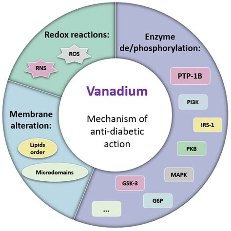 Vanadium Compounds with Antidiabetic Potential