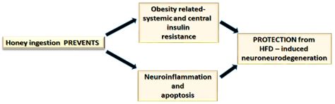 Preventive Impact of Long-Term Ingestion of Chestnut Honey on Glucose ...