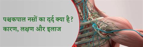 पश्चकपाल नसों का दर्द क्या है? कारण,लक्षण और इलाज | What is Occipital ...