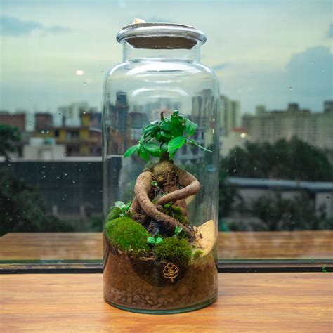 The Tree Terrarium – bytheleaf