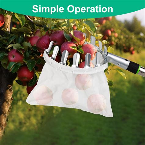 Fruit Picker Tool with 13 feet Long Telescopic Pole, Harvesting Basket ...