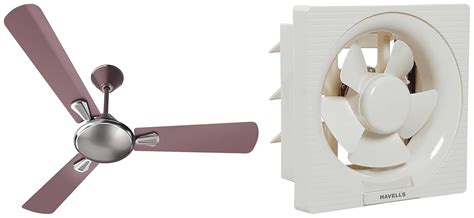 Havells 1200mm Festiva Energy Saving Ceiling Fan (Mauve, Pack of 1 ...