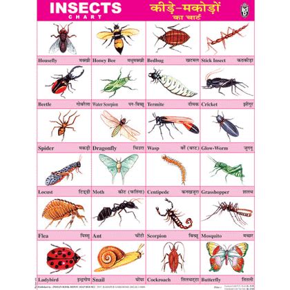 Products | Indian Book Depot