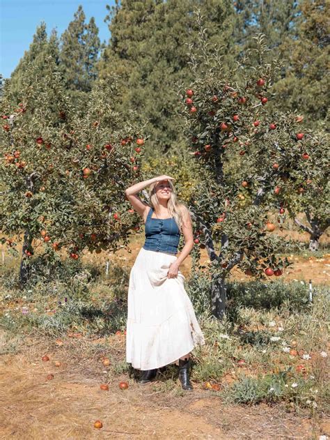 Ultimate Guide to Apple Hill, California