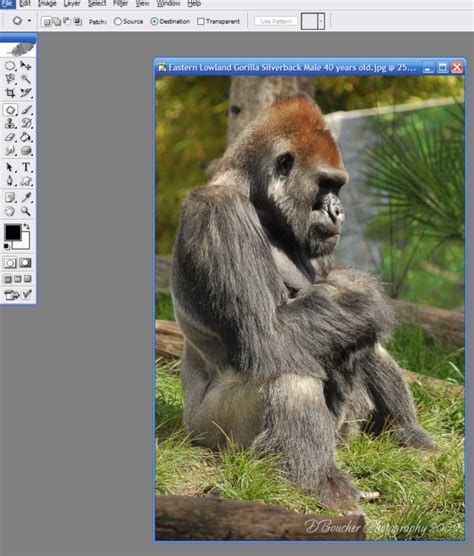 Image result for Photoshop Frame Tutorial