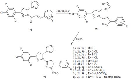 Fig. 1: Reaction scheme