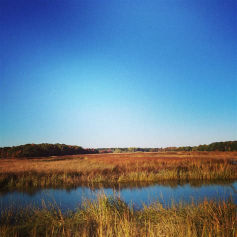 Scarborough Maine Campgrounds: Find Your Perfect Spot