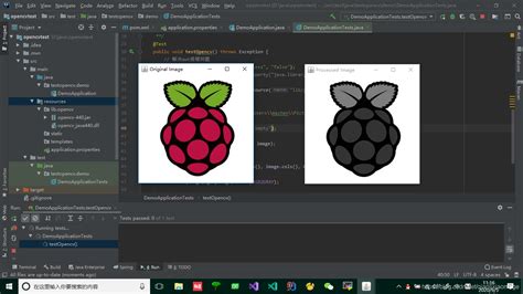 FTC Java OpenCV 的图像结果