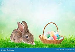 Image result for Rabit Sleeping Cartoon