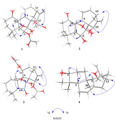 Diterpenoids from the Aerial Parts of Isodon serra with Selective ...