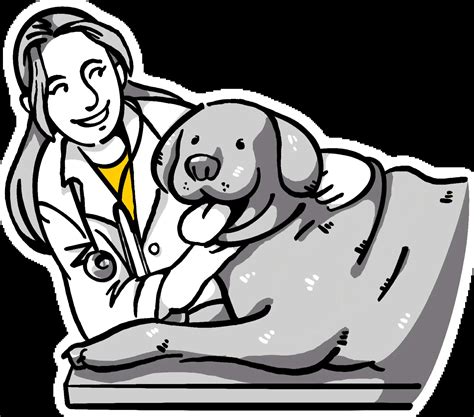 Image result for VTNE Study Guide