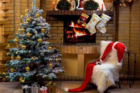 俄罗斯如何庆祝圣诞节-俄罗斯的圣诞节传统包括颂歌和算命-仿真假山与仿真树作用