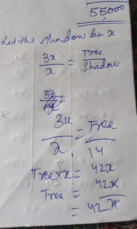 Sunidhi wanted to find the height of a tree in her garden she noted the ...