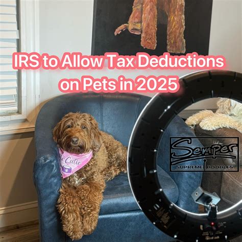 Semper Doodles | 🚨 BIG news for SOME pet parents! 🐾 Starting in 2025 ...