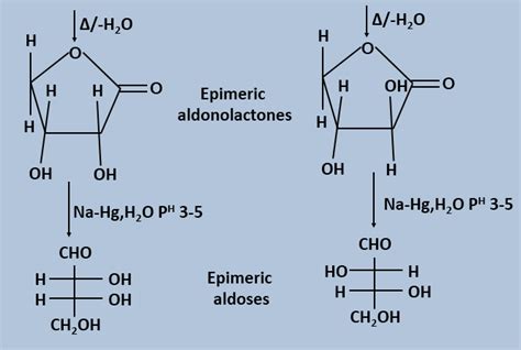 ELEMENTAL CHEMISTRY: INCREASING and DECREASING THE LENGTH OF THE ALDOSE ...