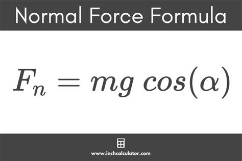 Image result for Normal Force