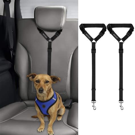 8 Best Dog Seatbelts For Safe Car Rides - Hearts Of Pets