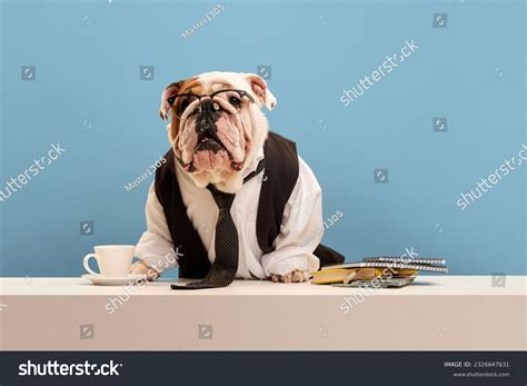 Disfraz Oficina Royalty-Free Images, Stock Photos & Pictures | Shutterstock