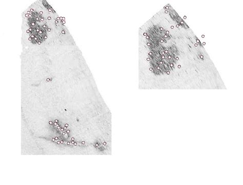 Image result for Key Point Extraction