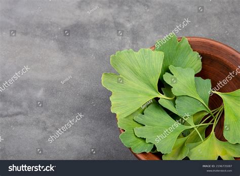 Ginkgo Leaves Background: Over 32,811 Royalty-Free Licensable Stock Photos | Shutterstock