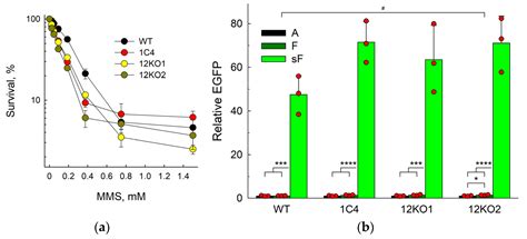 Back-Up Base Excision DNA Repair in Human Cells Deficient in the Major ...