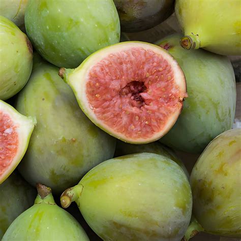 41 Types of Figs: (A-to-Z) Photos - Butter N Thyme