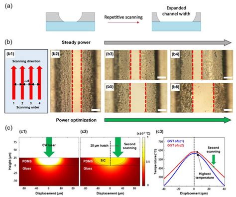 Fabrication of Perforated PDMS Microchannel by Successive Laser Pyrolysis