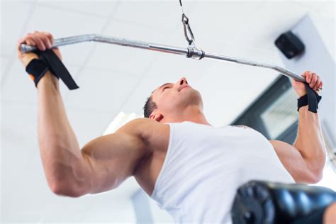 Image result for How Muscles Work Video