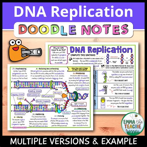 Image result for DNA Replication Notes