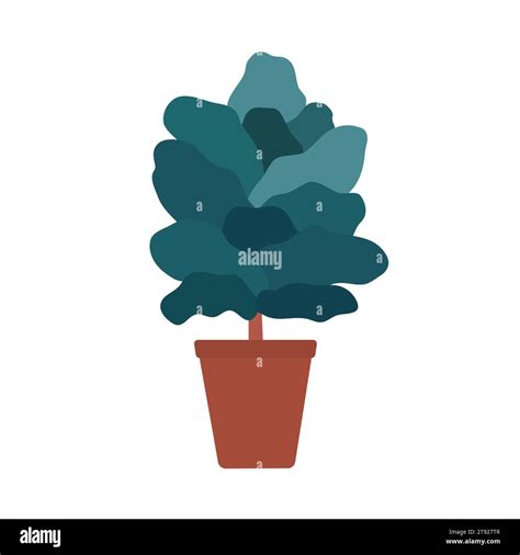 Vector isolated illustration with exotic Ficus lyrata in ceramic pot ...