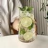Melbify Leafy Mojito Glasses | Set of 6 | 350 Ml | Highball Mojito ...