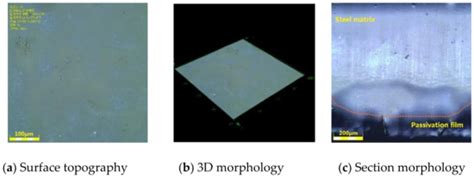 Anticorrosion Property of Alcohol Amine Modified Phosphoric and Tannic ...