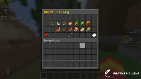 Image result for Shop Skript Minecraft
