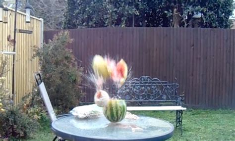 Exploding Watermelon Experiment
