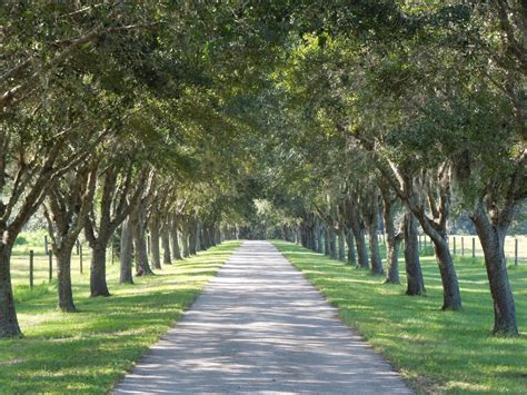 Home | Hardee County Property Appraiser