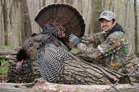 Image result for Spring Turkey Calling Tips