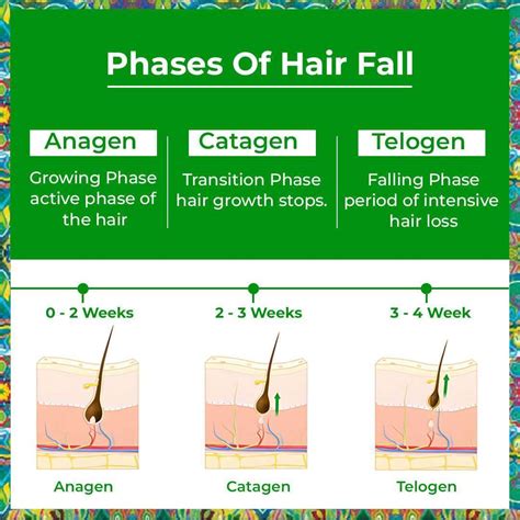 HAIR PROTEINZ ACTIVATOR Rosemary Hair Growth Serum with Redensyl & Saw