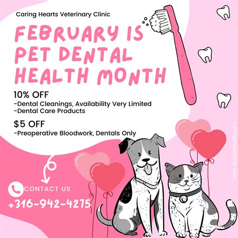Dental Month Is Here | Veterinarians in Wichita, KS | Caring Hearts ...