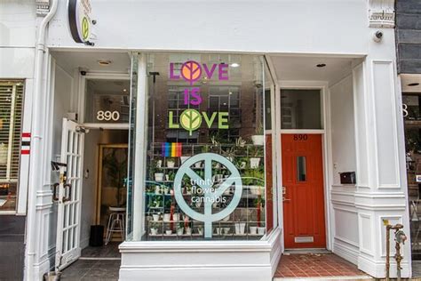 Trinity Flower Cannabis - Toronto | Tripadvisor