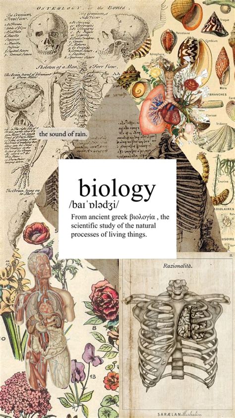 Biology Front Page Design 的图像结果