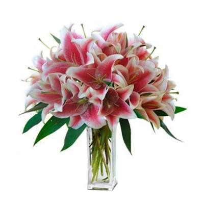 Largest Lily Beauty: Order Flowers Online | Interflora India | JVS1177615